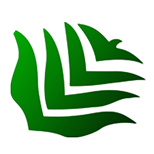 Center for Environment Concerns logo